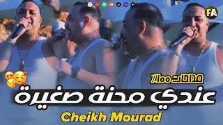 Cheikh Mourad  Andi Ma7na Sghira كونطرا على العرب   Avec Hamouda Maradon  Mehdahat 2024 [upl. by Ettigdirb]