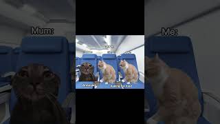 A classic holiday cat fypシ゚viral meme relatable viral pov fyp [upl. by Ernestine]