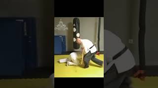 Basic Aikido Drills  Tai Sabaki silifke aikido martialarts selfdefense [upl. by Gwenette199]