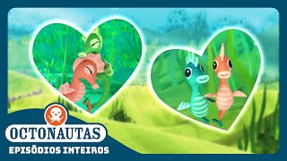 Octonautas  🌊🐴 O Conto de Amor do CavaloMarinho 💕  Episódio inteiro 31  Primeira Temporada [upl. by Tatiana]