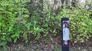 Hickory Hill Disc Golf Course Tower Lakes IL [upl. by Avihs]