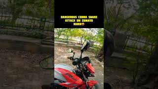 Dangerous Cobra Snake Attack On Zomato Rider 🤬 shorts viralshort trending snake [upl. by Pinebrook776]