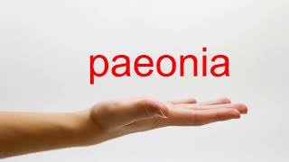 How to Pronounce paeonia  American English [upl. by Dnalro]