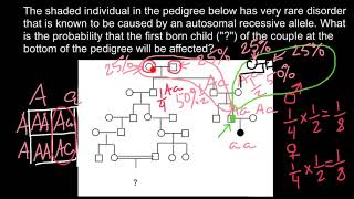 How to solve advanced pedigree problems [upl. by Rita585]