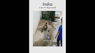 India is not for beginners 🤣😅😂bestdost india funnyjugad funny fun comedyfilms comedy [upl. by Ateekan320]