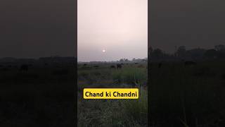 ai ai Chand mama Shorts shorts yout viral Chand ki Chandni shorts viral Chand mama Chandni 🎇 [upl. by Nylrehc]