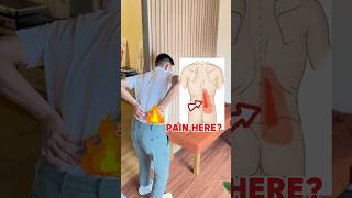 Back Pain Relief Stretch 🤩🤩🤩backpain backpainstretch lowbackpain shortsviral shortsvideo [upl. by Ahsak]