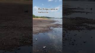 Rio Xingu obrigadoporseincrevernocanal pescaria pesca [upl. by Eiliak804]