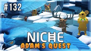 A Bluebird Buffet  Niche Lets Play • Adams Quest  Episode 132 [upl. by Lahcim]