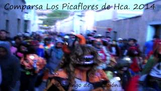 Comparsa Los Picaflores de Humahuaca  Jujuy [upl. by Thin545]