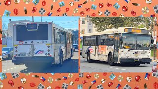 NJ Transit 10 BAYONNE JFK BLVD VIA PAMRAPO AVENUE NABI 41615 5879 [upl. by Niarfe]