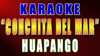 Karaoke 🐚 CONCHITA DEL MAR 🏝️ ZAPATEADO Con Letra🎤 [upl. by Islek]