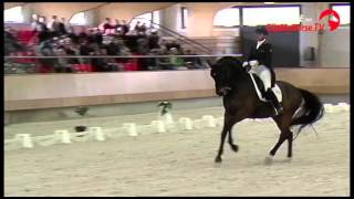 Danielle Heijkoop wint KNHS Indoorkampioenschap Lichte Tour [upl. by Erika816]