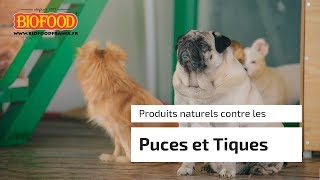 Produits ANTI puces amp tiques naturels [upl. by Allister]