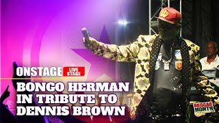 Bongo Herman In Tribute To Dennis Brown [upl. by Ejroj]