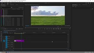 How to Fix Video Playback Lag While Editing in Premiere Pro 2024 [upl. by Anippesuig]