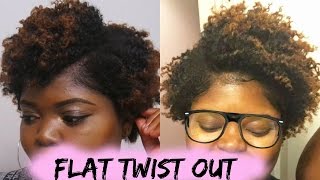 HOW TO FLAT TWIST OUT ON SHORT TYPE 4 NATURAL HAIR [upl. by Ita]