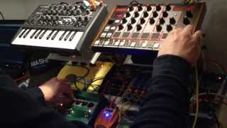 Akai Rhythm Wolf  Deep Session feat Arturia Microbrute [upl. by Kamal]