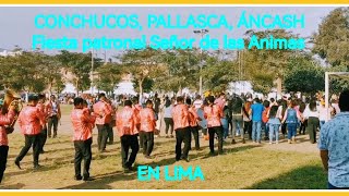 CONCHUCOS PALLASCA ÁNCASH FIESTA PATRONAL DEL SEÑOR DE LAS ANIMAS EN LIMA [upl. by Spring]