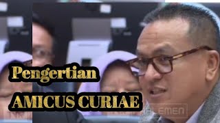 Pengertian dan Sejarah Amicus Curiae [upl. by Camus]