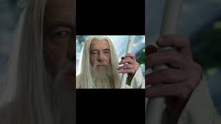 Dumbledore VS Gandalf dumbledore gandalfthegrey [upl. by Nerine472]