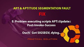 Segmentation fault  E Problem executing scripts APTUpdatePostInvokeSuccess [upl. by Marsha]