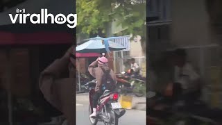 Parrot Chases Motorists Flowery Helmet  ViralHog [upl. by Mariko]