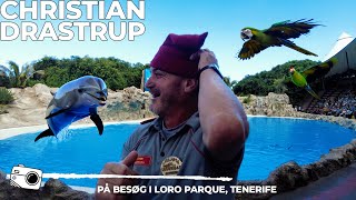 Loro Parque var fantastisk Selvom vagten tog min nissehue 😅 [upl. by Ximenes]