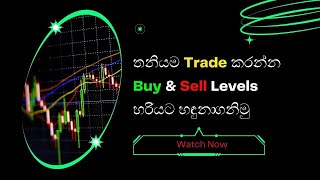 FX Trading identify buy sell entry levels [upl. by Mary695]