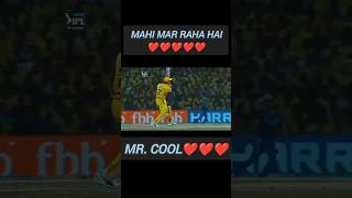 Mr Cool dhoni ipl cricket dhoniforever shortsviral shorts subscribe yt ytshorts ytviral [upl. by Mathis]