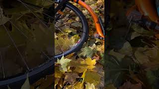 kickbike самокат Катаем погода осень 🍂 [upl. by Lashonda]