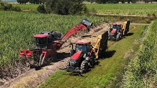 Case IH 9900 Sugarcane Harvester [upl. by Diane-Marie]