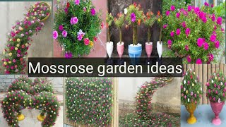 Smart ideas to grow Portulaca How to grow Mossrose Grandiflora planting ideaspurselaneoleracea [upl. by Nimesh172]