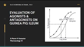 Effect of agonists and antagonists on Guinea Pig Ileum [upl. by Reisinger968]