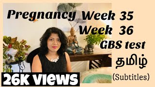 Pregnancy week 35 in tamil  36 weeks pregnant Tamil  GBS test  கர்ப்ப வாரம் 35  கர்ப்ப வாரம்36 [upl. by Deron131]