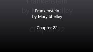 Frankenstein by Mary Shelley  Chapter 22 Audiobook [upl. by Kurtzig]