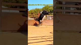 dangerous eiduladah cow jump injured dad eidspecial 2k25 cowmandi 😭😭😭😭😭 [upl. by Anoli]