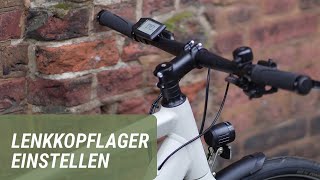 Lenkkopflager einstellen bei Fahrrädern und EBikes  Prophete [upl. by Janek432]