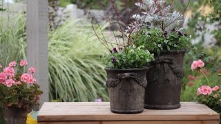 Layered Bulb Pot for Longer Lasting Spring Blooms [upl. by Attenat]