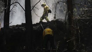 Waldbrände Kolumbien erklärt Katastrophenfall [upl. by Wisnicki]