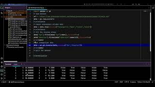 Data Cleaning and Preprocessing CSV Handling Missing Values amp Dummie [upl. by Paley]