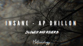 Insane  AP Dhillon  Perfectly Slowed and Reverb  Mateenology [upl. by Anahsat]