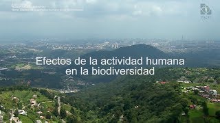 Territorio Ambiental  Tema Efectos de la actividad humana en la biodiversidad [upl. by Ahsener261]