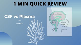 CSF vs Plasma [upl. by Niroht]