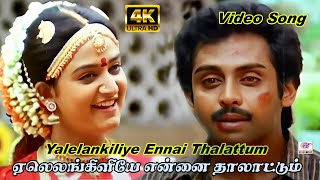 Yaleankiliyeaஏலெலங்கிளியே என்னைதாலாட்டும்Anand Babu Mohini Love Sogam Tamil Song [upl. by Pascia]