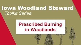 Prescribed Burning in Woodlands Iowa Woodland Steward Toolkit Series [upl. by Zucker]