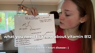 methionine synthase homocysteine and vitamin B12  EDUCATIONAL VIDEO [upl. by Nahtannoj809]