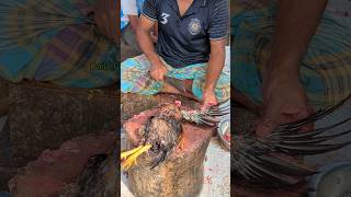 Amazing Special Desi Chicken Cutting Skills In Bangladesh Chicken Market 😱 shorts [upl. by Clawson]