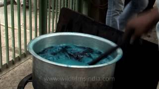 How cloth is dyed in India [upl. by Rey]