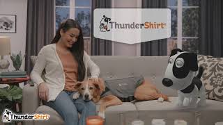 How to Put on a ThunderShirt® [upl. by Thornie411]